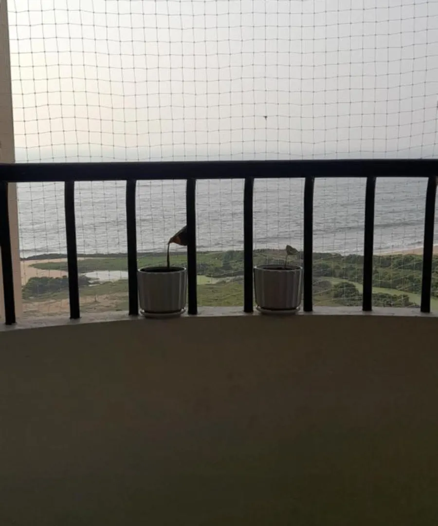 Apartment Seashells Pentagon Calicutbeach India